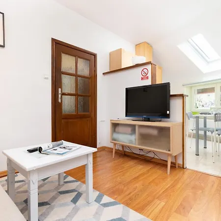 Homey Apartment