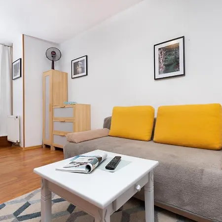 Homey Apartment